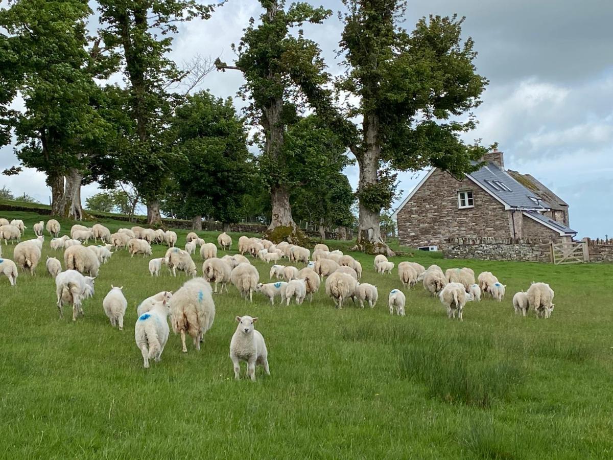 Villa Pant Llwyd Farm Llangynidr Exterior foto